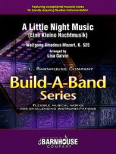 y yizUFB140 A stbNXtytAClENClEingW[NiEine Kleine Nachtmusikj [c@giMozartjyAzyEȊOz