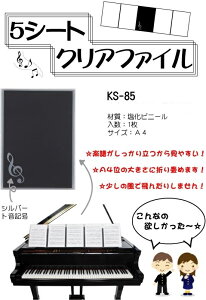 y񎞁A[1Tԁ`10z5V[gNAt@C KS|85