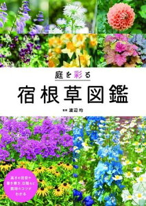 yizy񎞁A[1`3Tԁzʂh}