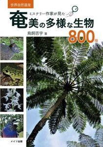 yizy񎞁A[10`2Tԁz~Xe[Ƃ̑lȐ800y[ւȈꍇz