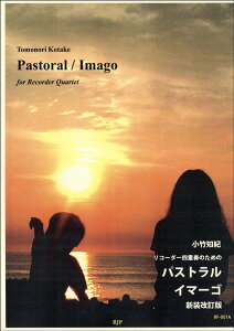 y y񎞁A[1`2TԁzRF-001A R[_[ldt̂߂ pXg C}[S V