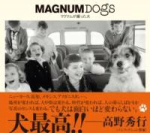 yizy񎞁A[1`3TԁzMAGNUM DOGS }OiBy[ւȈꍇz