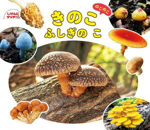 yizy񎞁A[10`3Tԁẑ̂̂ӂ̂y[֕siz