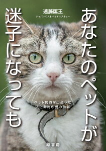 yizy񎞁A[1`3TԁzȂ̃ybgqɂȂĂ