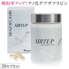 楽天市場】スマートメモリー核酸＆ERGO（360粒）栄養機能食品（亜鉛 