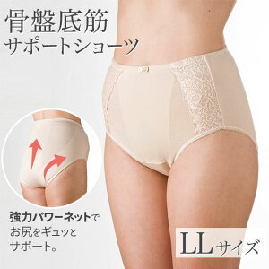 Ւ؃PAV[cu2vLLTCY Jx[WzpbgtT|[gV[c A ARySzably