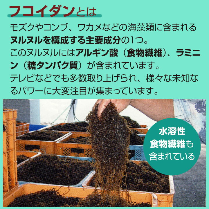 楽天市場】フコイダンエキス原末カプセル（150粒）【5個セット】ably今 