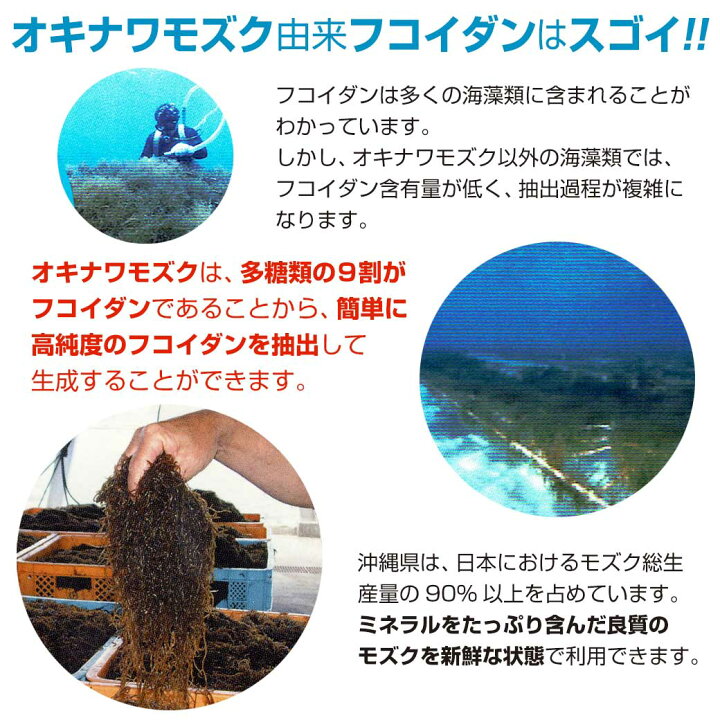 楽天市場】金秀バイオ 沖縄フコイダン(180粒)【2個セット】オキナワ 