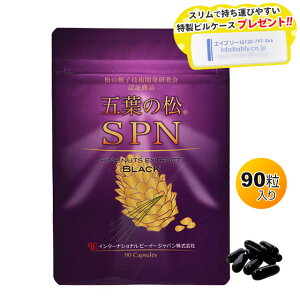 yRzyڊӃLy[!!zܗt̏SPN ubNi90j ysP[Xv[gzܗt̗ qGLXyRSLoׁzy|Xgzysz