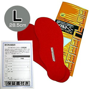 oCIo[ nCe}[j[yLTCY(28.5cm)zC\[ ~ably