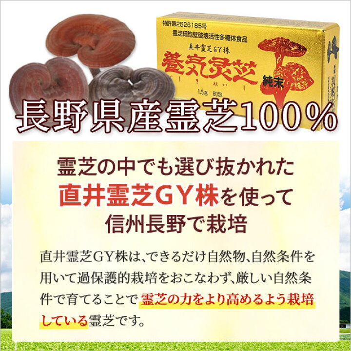 楽天市場】養気霊芝 純末（1.5g×60包）【6個セット】レイシ 直井霊芝 