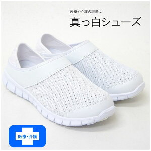 yz kCEBE͍zS i[XV[Y V[Y  zCg Y fB[X Xb| y Ōt m  a@ bV Ƃ߂@2WAY s5410 ta