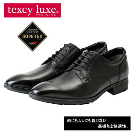 テクシーリュクス アシックス商事 texcy luxe 本革 革靴 ビジネスシューズ プレーントゥ GORE-TEX 黒 ブラック 3E ロングノーズ 靴 父の日 actu8001