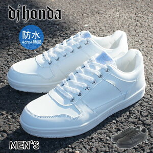 Xj[J[ Y [Jbg LOW CUT h ɂ ubN   EH[LO WMO wZ ʊw ƌC j am ̓ DJz_ dj honda mzdj310