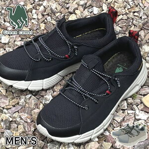 Y Xb| Xj[J[ T{T_ ou[V NbOT_ y y O[L Green camel Lv AEghA gCoV[Y t  ̓ hngc2610