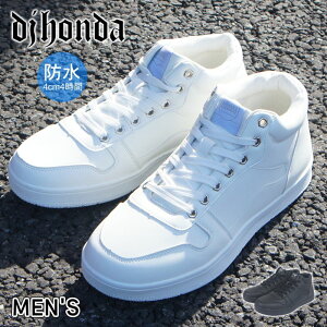 Xj[J[ Y nCJbg HI CUT h ɂ ubN   EH[LO WMO wZ ʊw ƌC j am ̓ DJz_ dj honda mzdj316