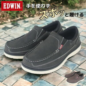 EDWIN Xb| Y JV TChSA  V[Y GhEB C Xj[J[ JWAV[Y  ꂢ RȂ ЂȂ n Vv l d ʋ ʊw YV