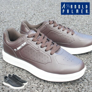 Y Xj[J[ [Jbg  ubN uE  zCg  JWA  IV lC A[mhp[}[ Arnold Palmer 20 30 40 50 ̓ ap0022