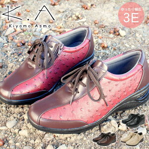 yz RtH[gV[Y fB[X 3e L y GA[\[ NbV TCht@Xi[ JWAV[Y wlC [XAbv Xj[J[ fB[X y ~ZXt@