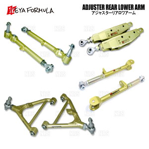 IKEYA FORMULA �C�P���t�H�[�~���� �A�W���X�^�[�E���A�E�����A�[�� �X�J�C���C��GT-R R32/BNR32 (IFAO16003