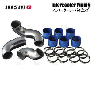 NISMO jX C^[N[[pCsO Zbg XJCCGT-R R33/R34/BCNR33/BNR34 RB26DETT (1446A-RSR45