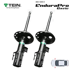 TEIN eC Endura Pro Basic Gfv x[VbN (tg) IfbZC e:HEV RC4/RC5 2020/11` FF (VSHE4-X1EA2