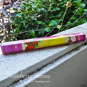 y  [֔ z Xgx[[ Xgx[   ichigo C`S  HEM XeBbN  CZX GXjbN Ch  CZXXeBbN w HEM X