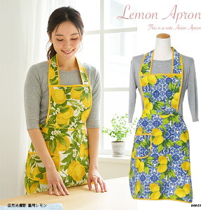 y X[p[SALE PUP  [֔ z Gv t[cGv ʕGv  tbVGv u₩  ꂢ fB[X   Xg 