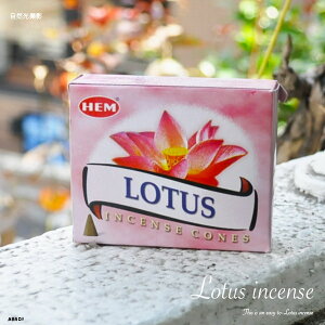 y  [֔ z [^X LOTUS LOTO @  CZX  HEM R[ 24g pbP[W  fB[X CZX  Ch ґz GXjbN w  HEMА F