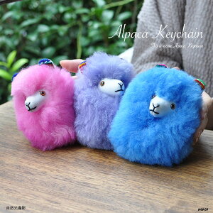 y  [֔ z ApJL[z_[ L[z_[ Xgbv  킢 ӂӂ fB[X wJo Eň L ApJ ApJE[ L