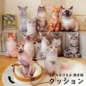 リアル 猫ぬいぐるみ クッション 抱き枕 猫 雑貨 グッズ おしゃれ ネコ ねこ メインクーン シャムネコ ブリティッシュショートヘア アメリカンショートヘア 彼女 子供 癒し かわいい 動物 インテリア お誕生日 記念日 プレゼント お祝い