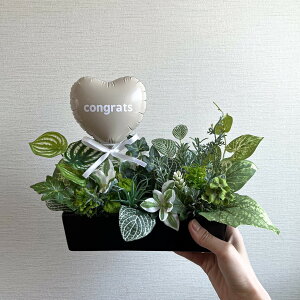 Green × Balloon arrange ~mini~�V�z�j���@�]���j���@�J�X�j���@�����z���j���O���[���A�����W�@�A�[�e�B�V�����t�����[�o���[���A�����W�@�C���e���A