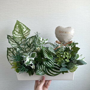 Green × Balloon arrange ~medium~�V�z�j���@�]���j���@�J�X�j���@�����z���j���O���[���A�����W�@�A�[�e�B�V�����t�����[�o���[���A�����W�@�C���e���A