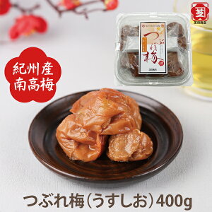 œcXIB썂~ Ԃ~  400g n̋IBY썂~gp ~ڂ ~ 嗱  6 T 󂠂 ٓ ɂ̋ Е 