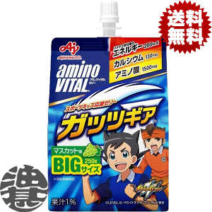 w2P[XIxinj̑f AMINO VITAL A~moC^ [[hN BCAA A~m_ KbcMA }XJbg 250gpE`×2P[X48{(1P[X24{)