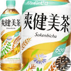 (数量限定!特売!!)コカ・コーラ コカコーラ 爽健美茶 600mlペットボトル （24本入り1ケース）カフェインゼロ※ご注文いただいてから3日〜14日の間に発送いたします。/zn/