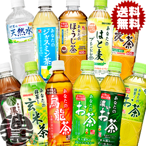 wIxinjIׂ48{ITKA Ȃ̂  Ē ͂Ɣ  Z G VR ق WX~ ݂ǂ̂ ɉ̓VR(600ml)  500ml