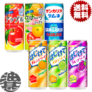 wIxinjIׂ60{ITKA l ͂ O[v\[_ \[_ IW\[_ Abv t[c~bNX 240g 250ml  (30{×2P[X)I聦