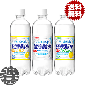 wIxinjIׂ48{ITKA ɉ̓VRY_ Y_ 500mlybg{g(24{×2P[X) VRXp[NO v[  I聦m4`14