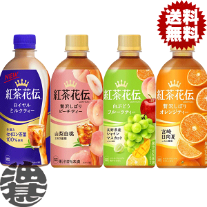 wIxinjIׂ48{IRJER[ RJR[ gԓ` ~NeB[ s[`eB[ Ԃǂt[ceB[ IWeB[440mlybg{g (24{×2P[X) m