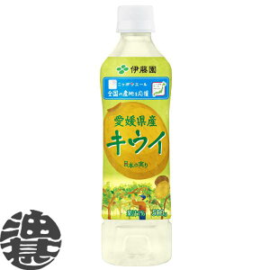 w2P[XIxinjɓ jb|G[ QY LEC 500gybg{g×2P[X48{(1P[X24{)LEB LECt[c { Ă4`14