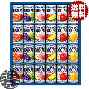 wIxinjJS t[cW[XMtg FB-30Gy100CAN ʏ`100% 160g MtgZbg v[g 蕨  䒆 ̓ Ε Εz[qw]