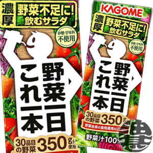 カゴメ 野菜一日これ一本 200ml×24本 紙パック (野菜・果実飲料 カゴメ 野菜一日これ一本 200ml×24本 紙パック (野菜・果実飲料
