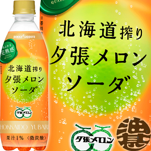 高品質 ポッカサッポロフード&ビバレッジ 北海道搾り 夕張メロンソーダ 炭酸飲料