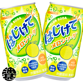 3ケースまで2ケース分の送料です！サンガリア はじけてメロンソーダ 350ml缶(24本入り1ケース)(離島は除く)※ご注文いただいてから3日〜14日の間に発送いたします。/sg/