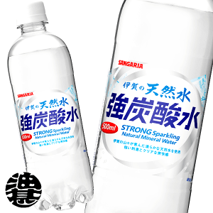『2ケース送料無料!』(地域限定)サンガリア 伊賀の天然水 強炭酸水 500mlペットボトル×2ケース48本(24本入り1ケース)