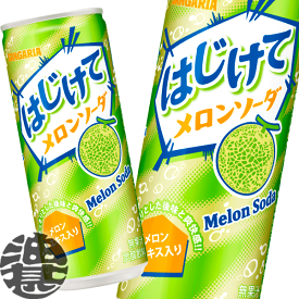 『2ケース送料無料！』（地域限定）サンガリア はじけてメロンソーダ 250ml缶×2ケース60本(1ケースは30本入り)250g※ご注文いただいてから3日〜14日の間に発送いたします。/sg/