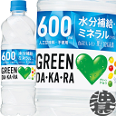 サントリーフーズ GREEN DAKARA　グリーン ダカラ　600mlペットボトル（24本入り1ケース）グリーンダカラ スポーツドリンク 冷凍兼用ボトル※ご注文いただいてから4日～14日の間に発送いたします。/st/
