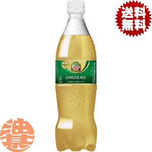 日本コカコーラ カナダドライ ジンジャーエール 700ml×20本 PET