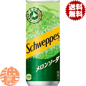 『送料無料！』（地域限定）コカ・コーラ シュウェップス メロンソーダ 250ml缶（30本入り1ケース）コカコーラ メロンサイダー 炭酸飲料※ご注文いただいてから3日〜14日の間に発送いたします。/zn/